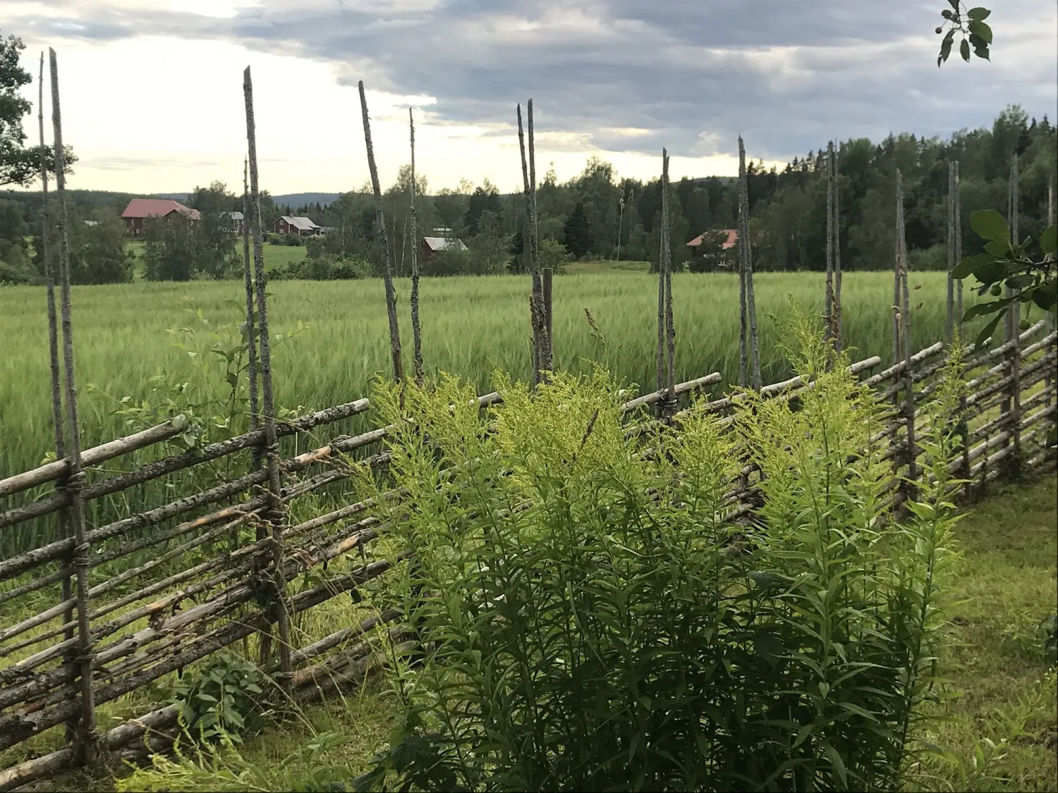 Bo på landet - Östra Trösten, Bergsjö