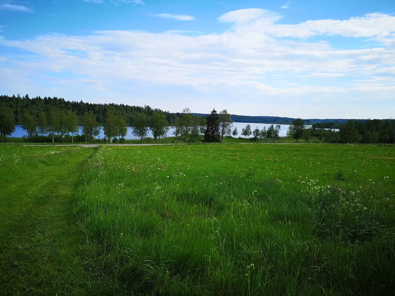 Naturbild, vy över sjön