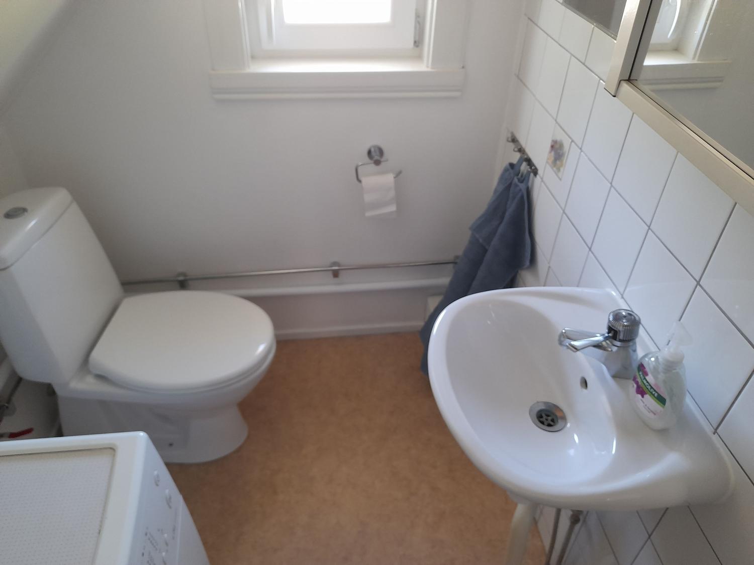 Interiör toalett med tvättfat och toastol