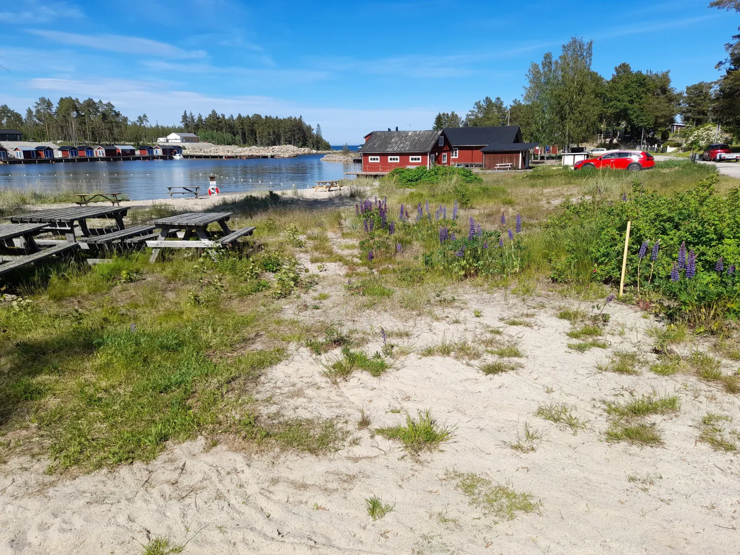 utomhus, strand, havsvik, stugor vid strand