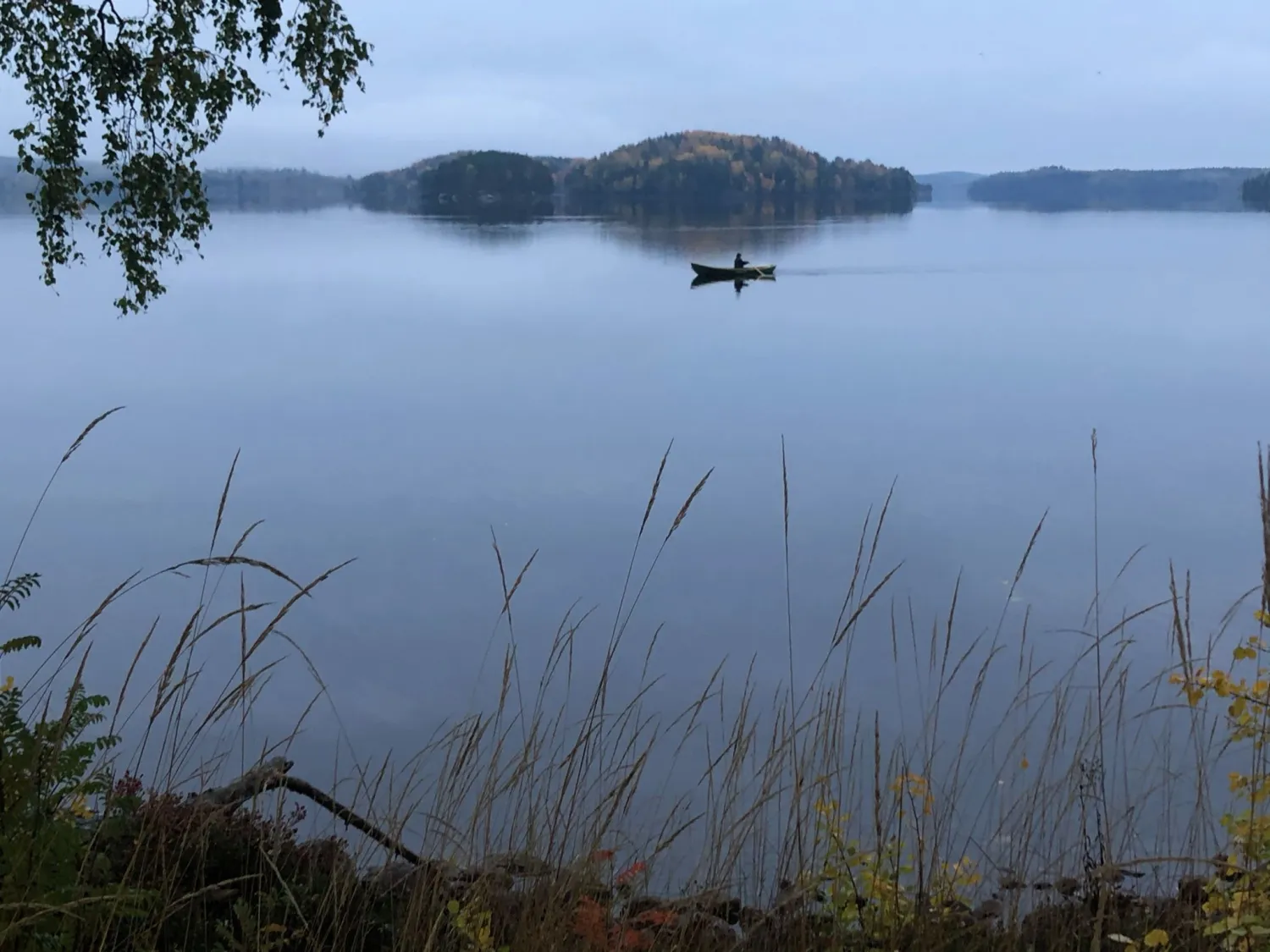 Sjö