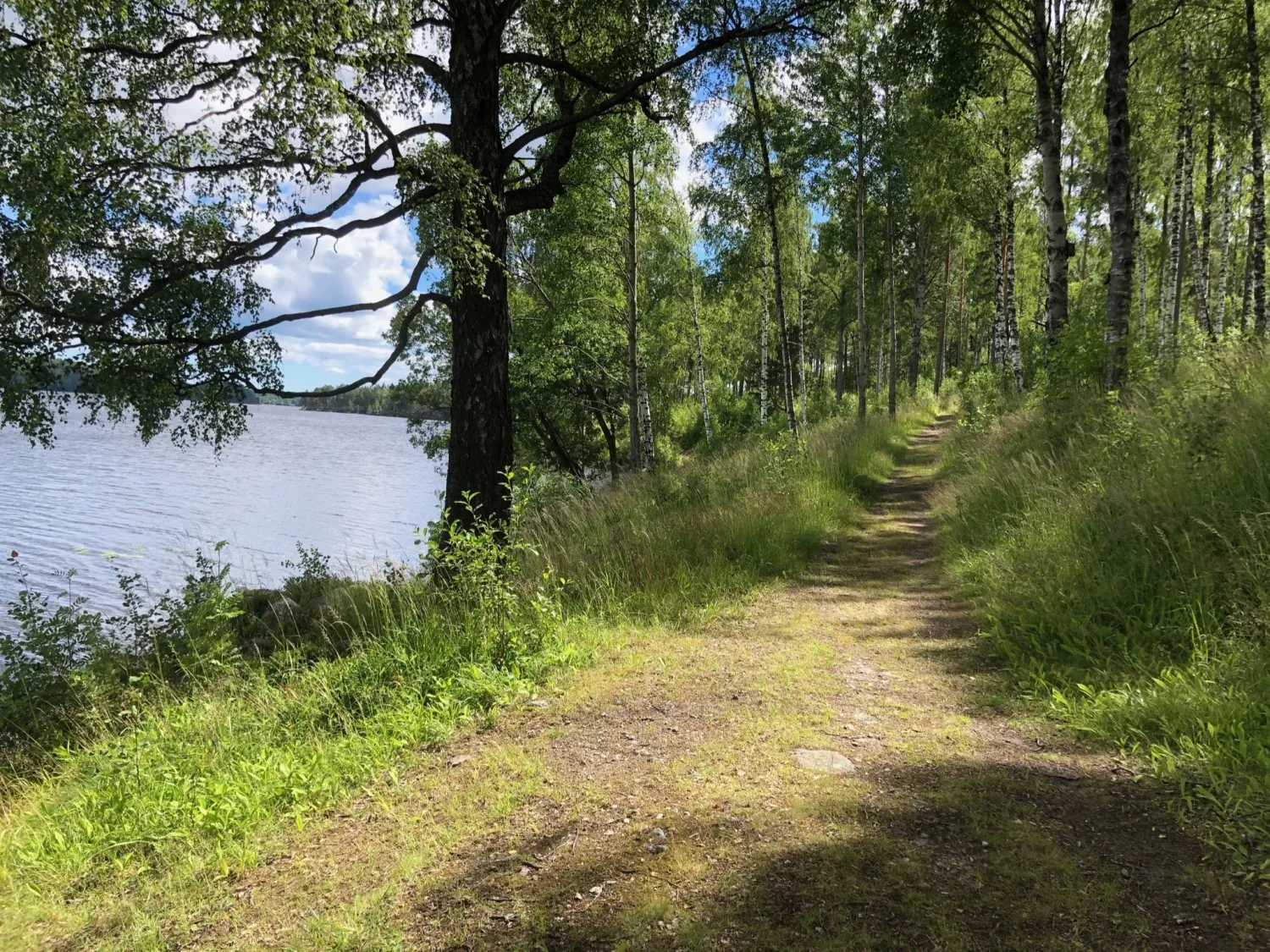 Område