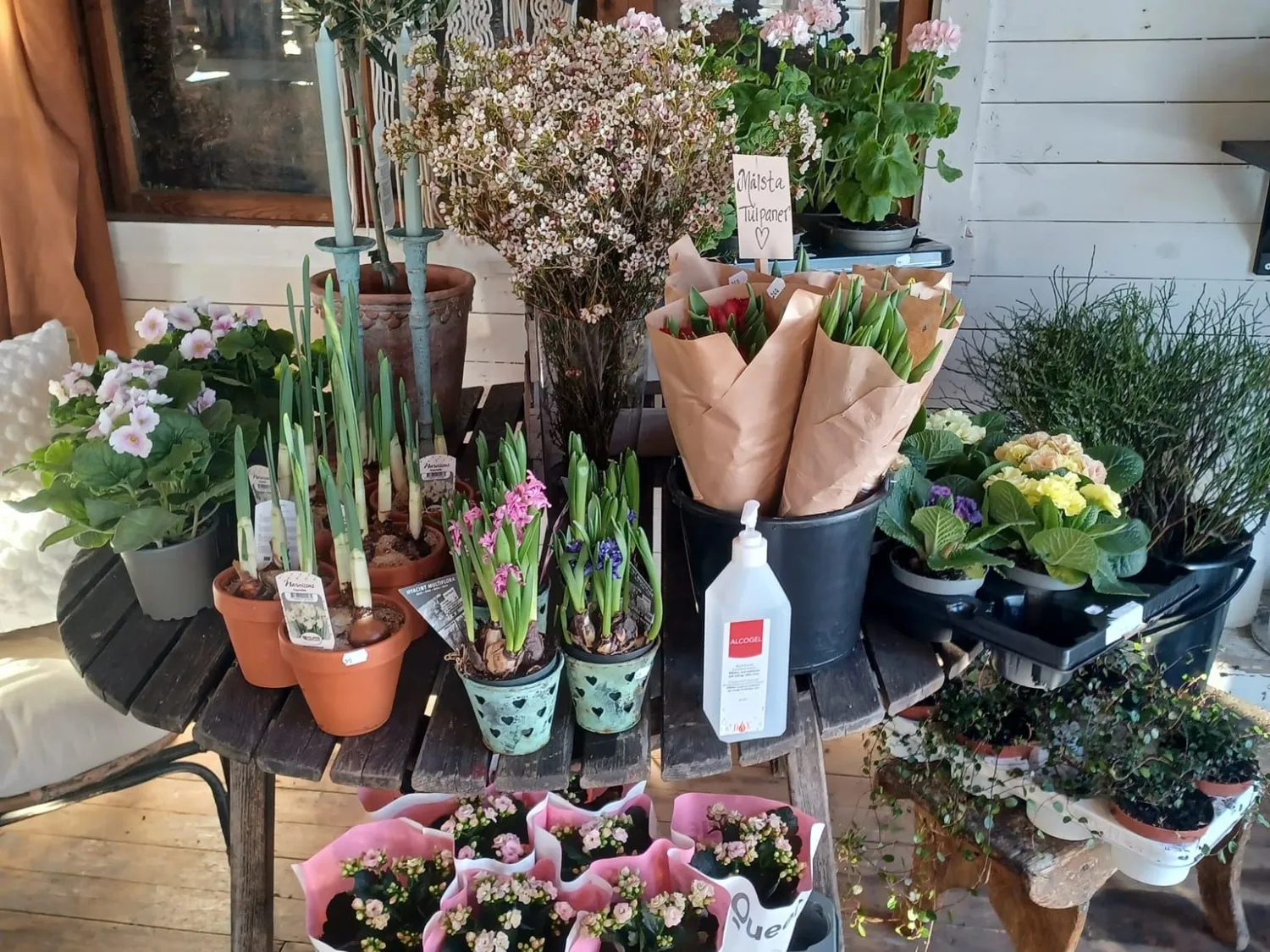 Interiör bild av blommor i butik