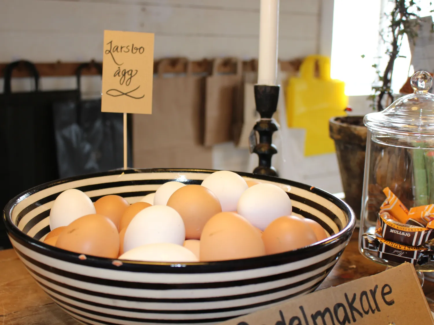Färgbild - ägg i en skål - närbild