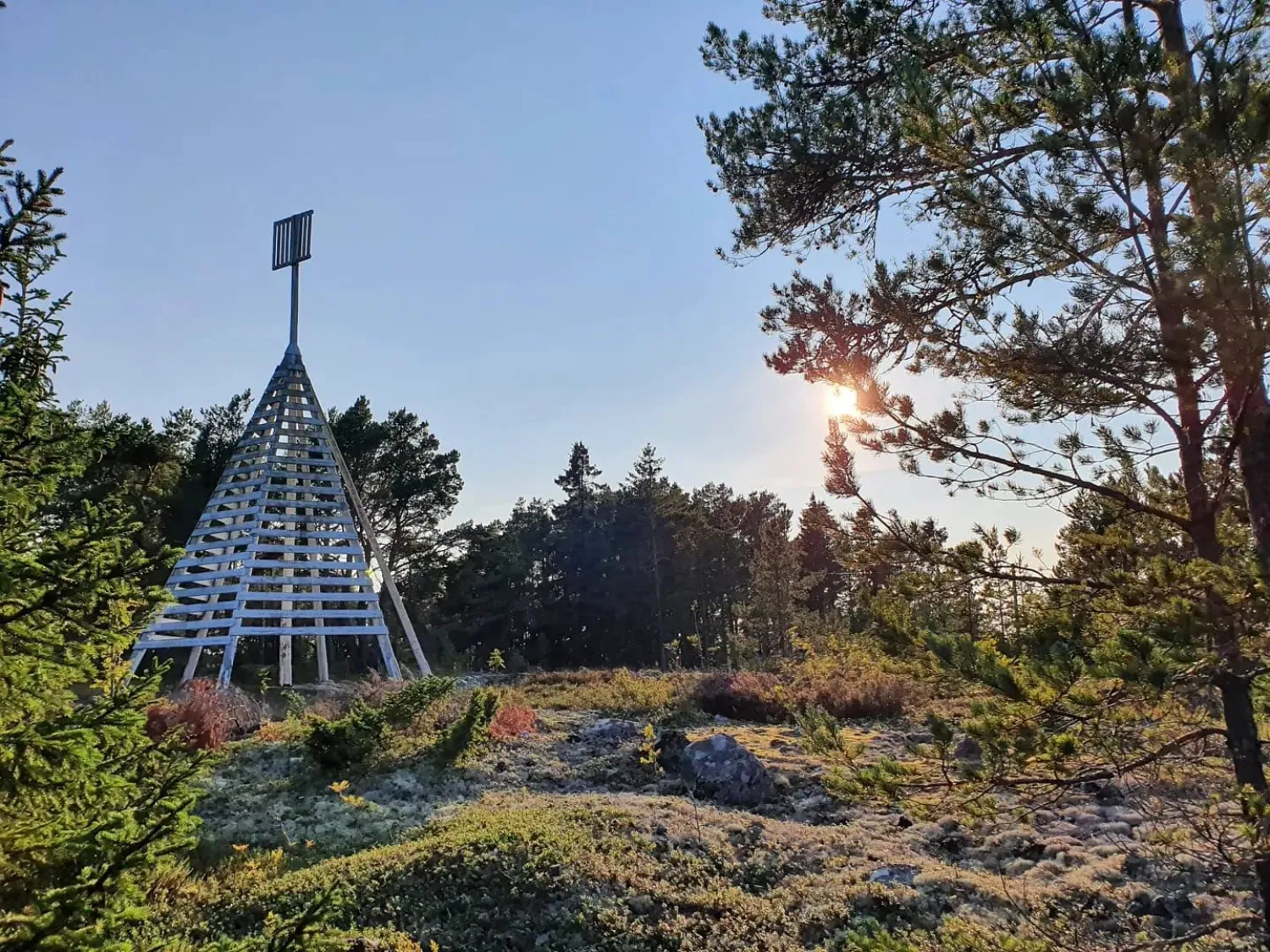 Färgbild, naturbild med skog och stenmarker