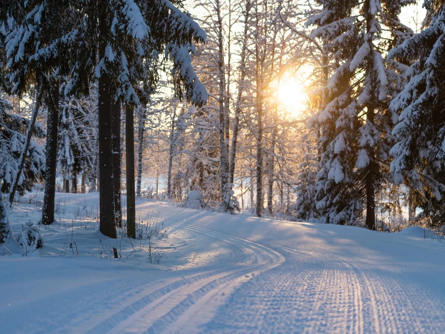 Skidspår i Ilsbo