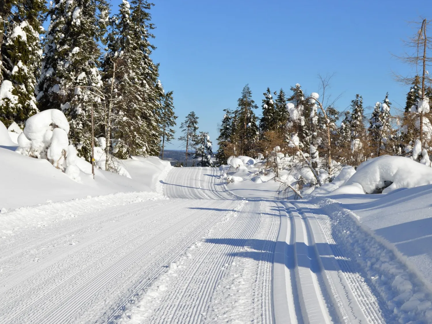 Skidspår i Gnarp