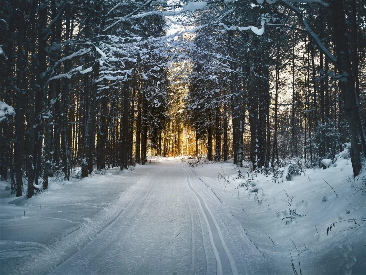 Skidspår i Bergsjö - Råsjövallen
