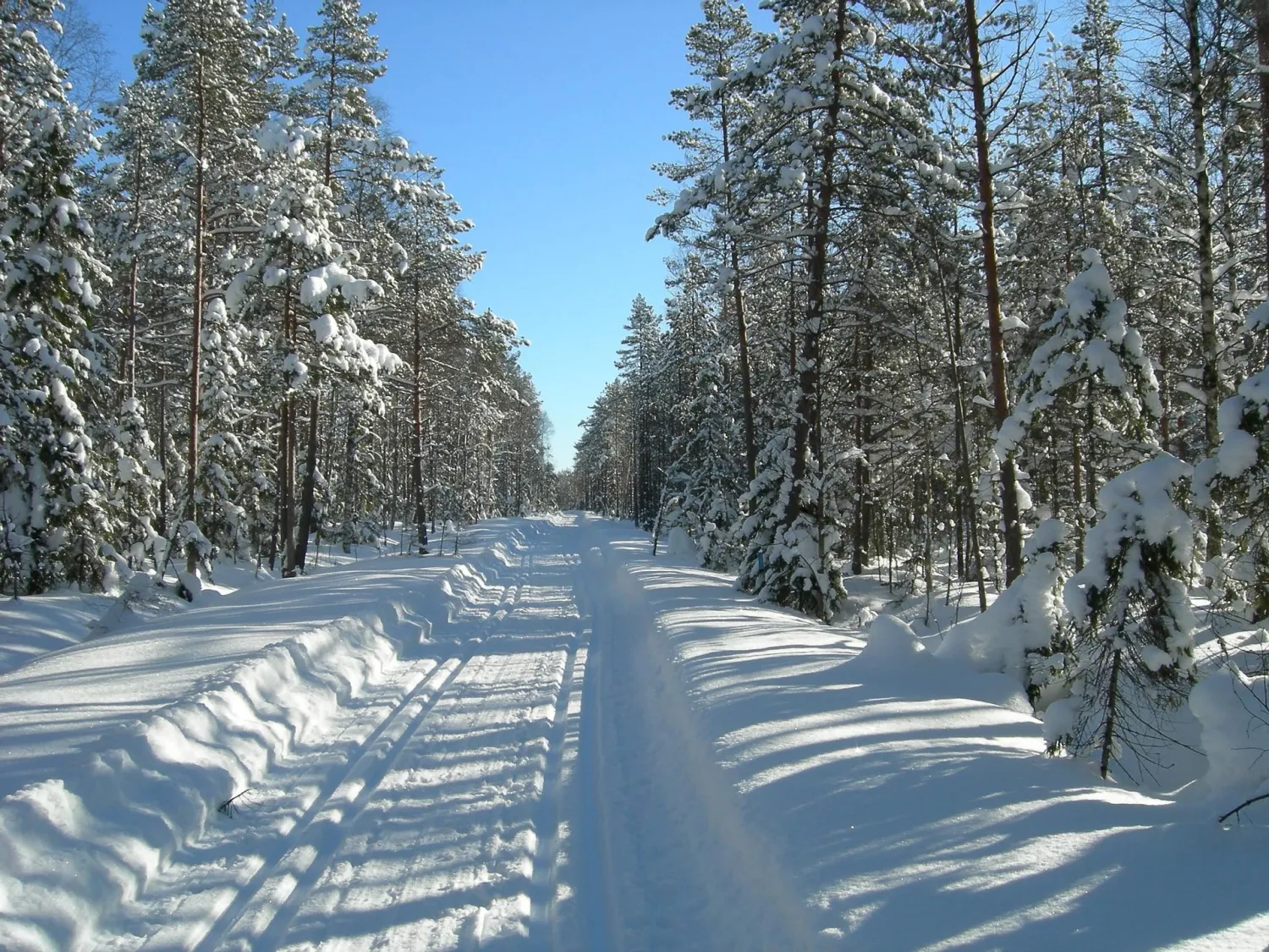Skidspår i Jättendal