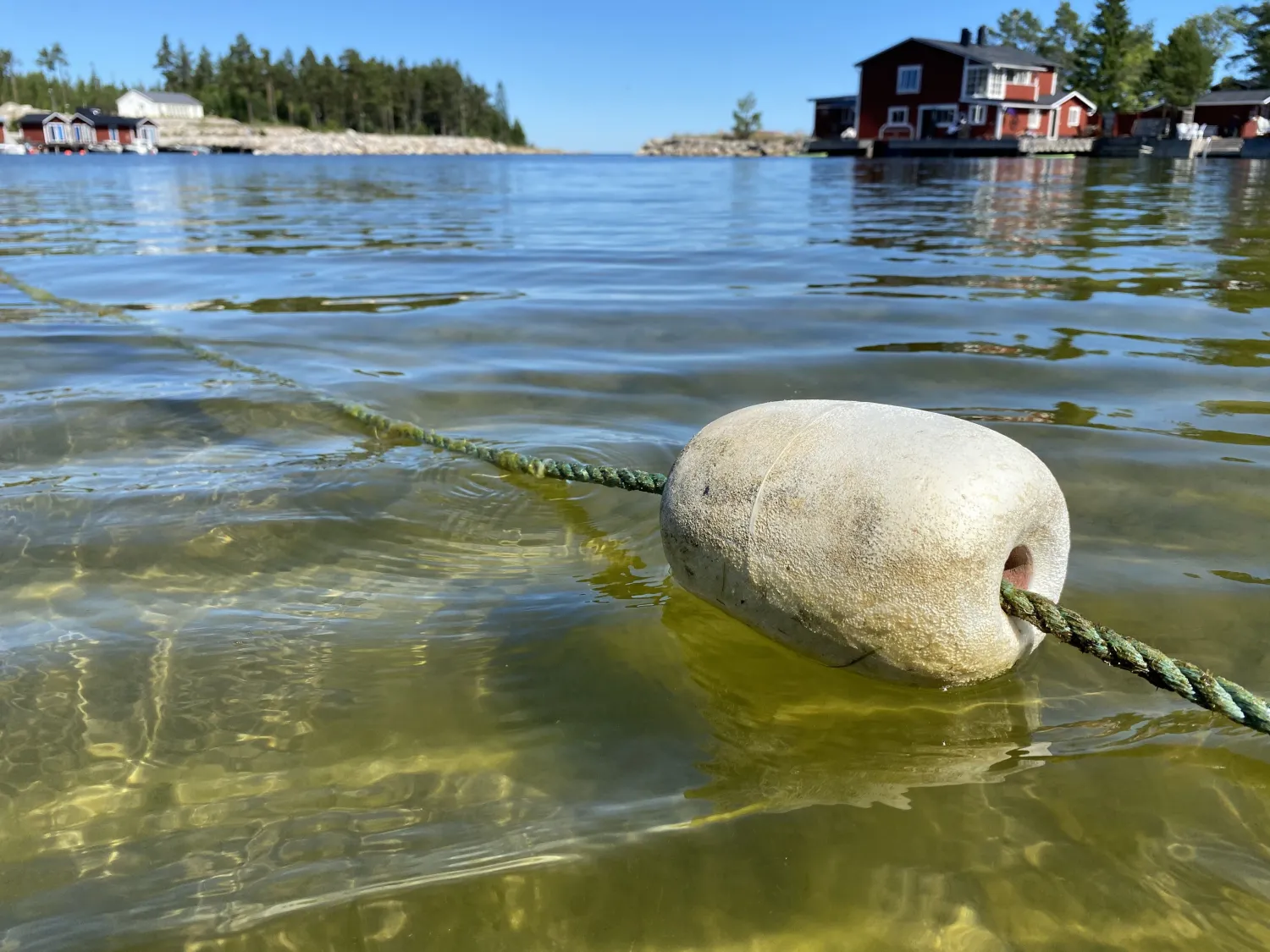 Morängsviken