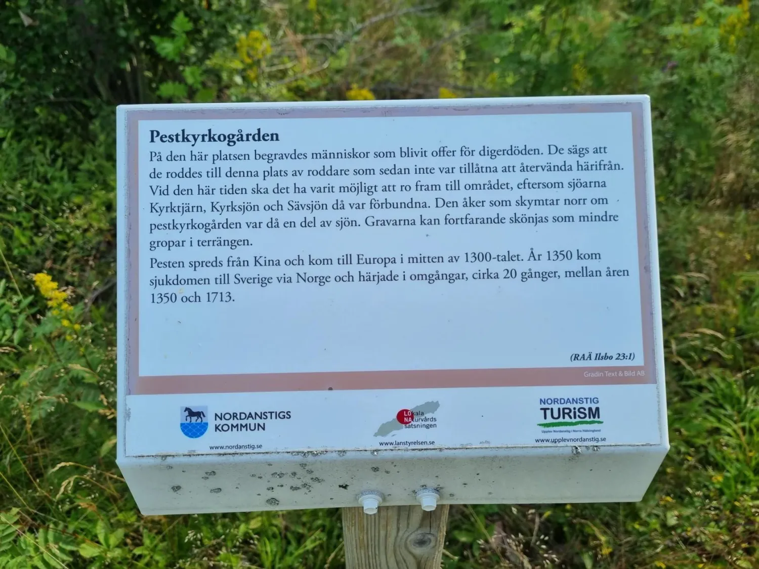 Pestkyrkogården