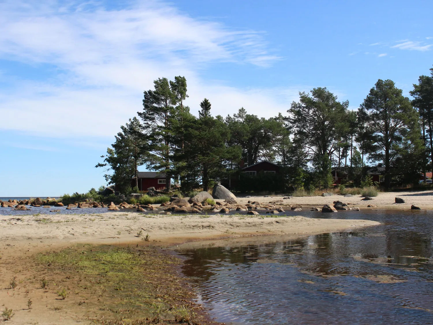 Bäck som rinner ut i havet