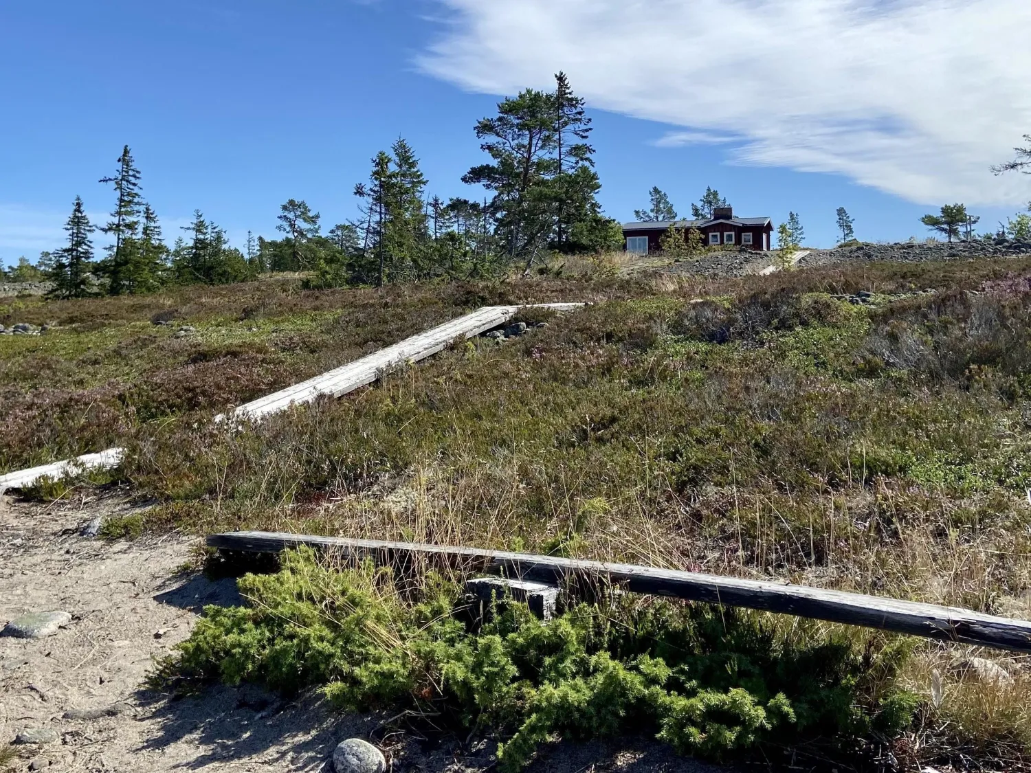 gran, ö, naturreservat, nordanstig, gnarp