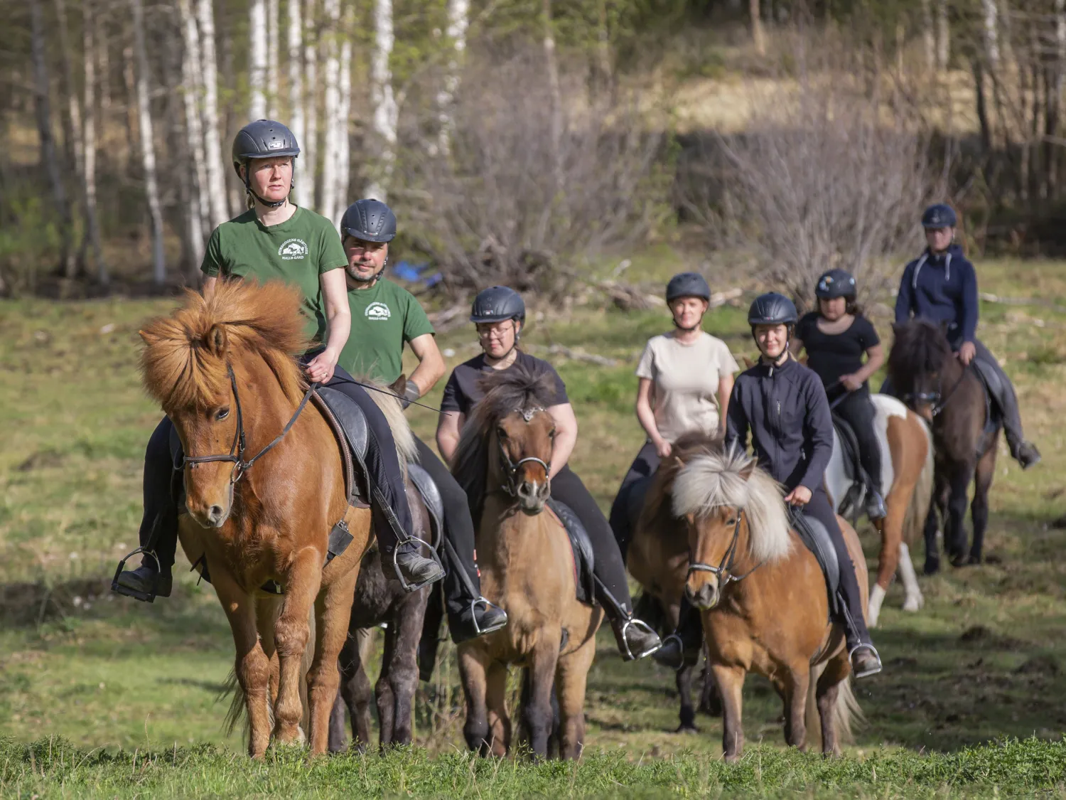 Storskogen's Horse Rides