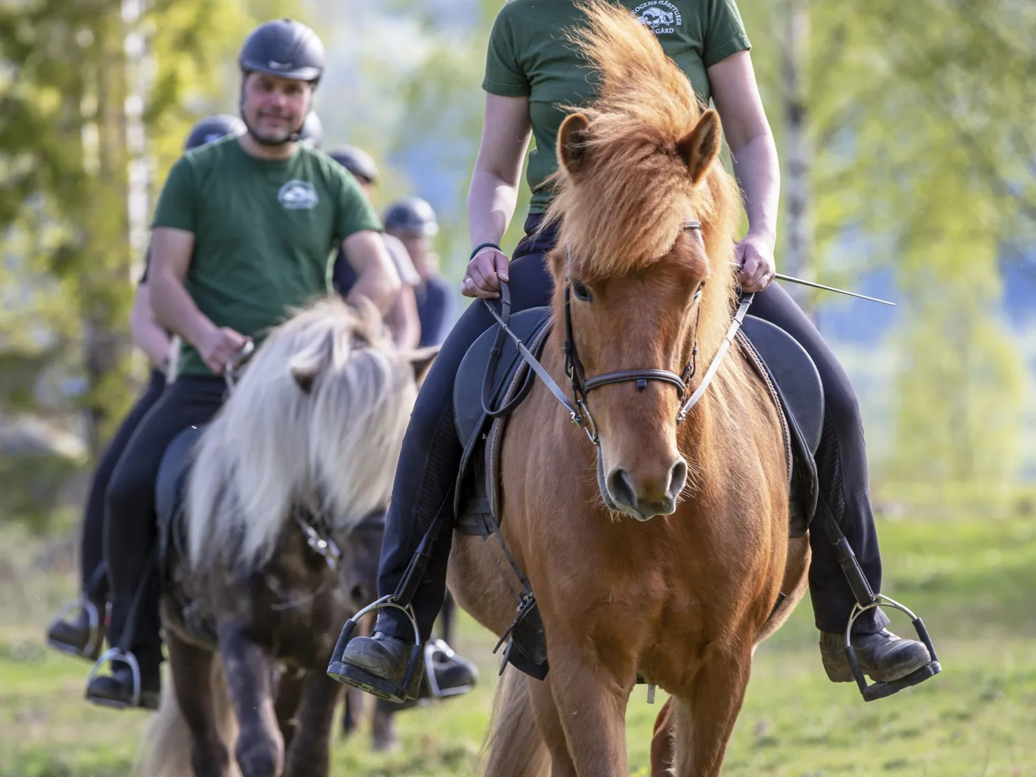 Storskogen's Horse Rides