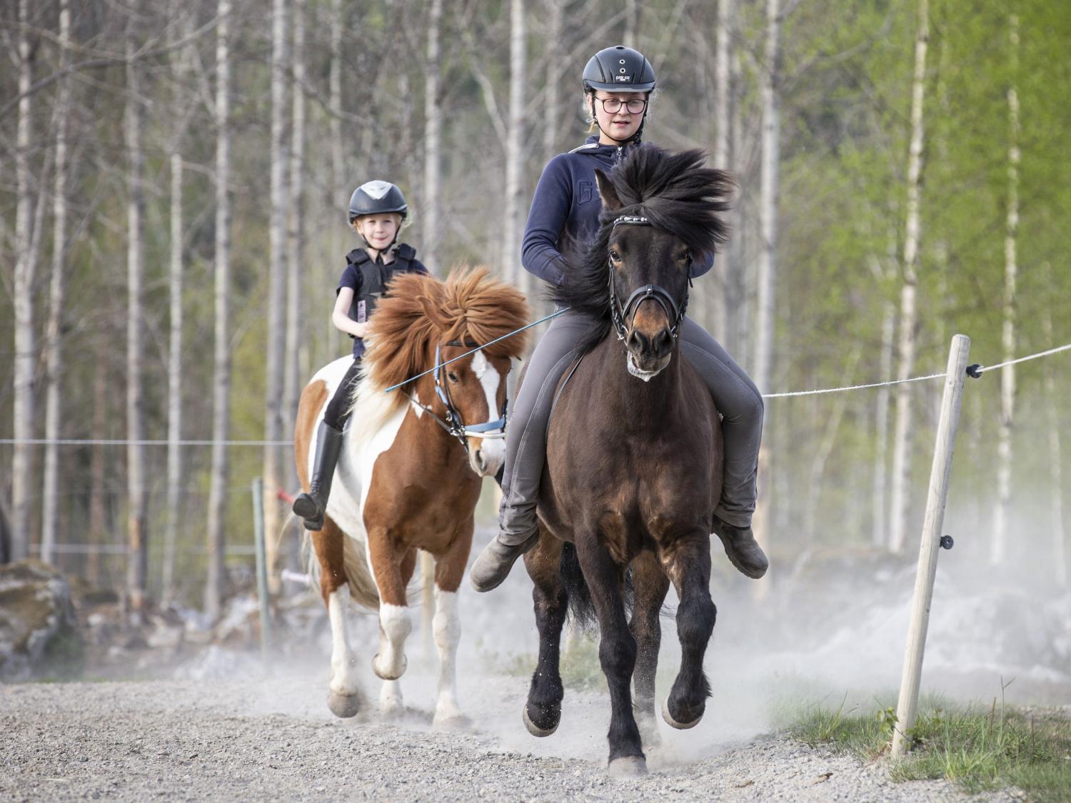 Storskogen's Horse Rides