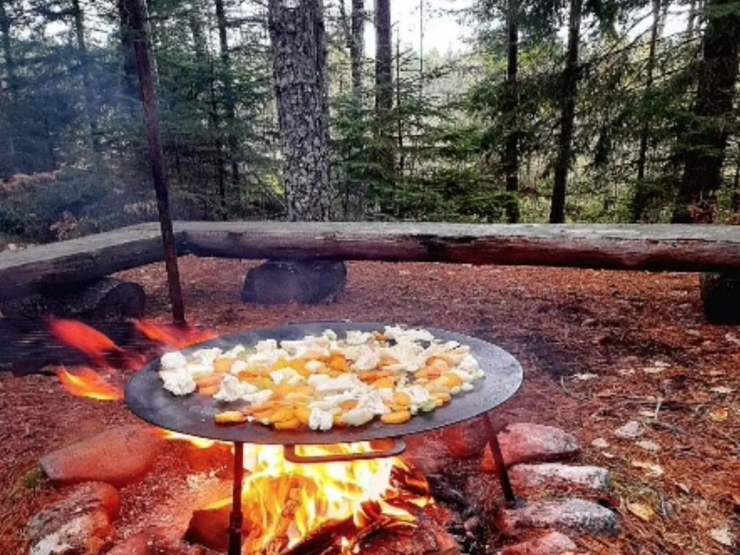Grillplts med mat på full rulle