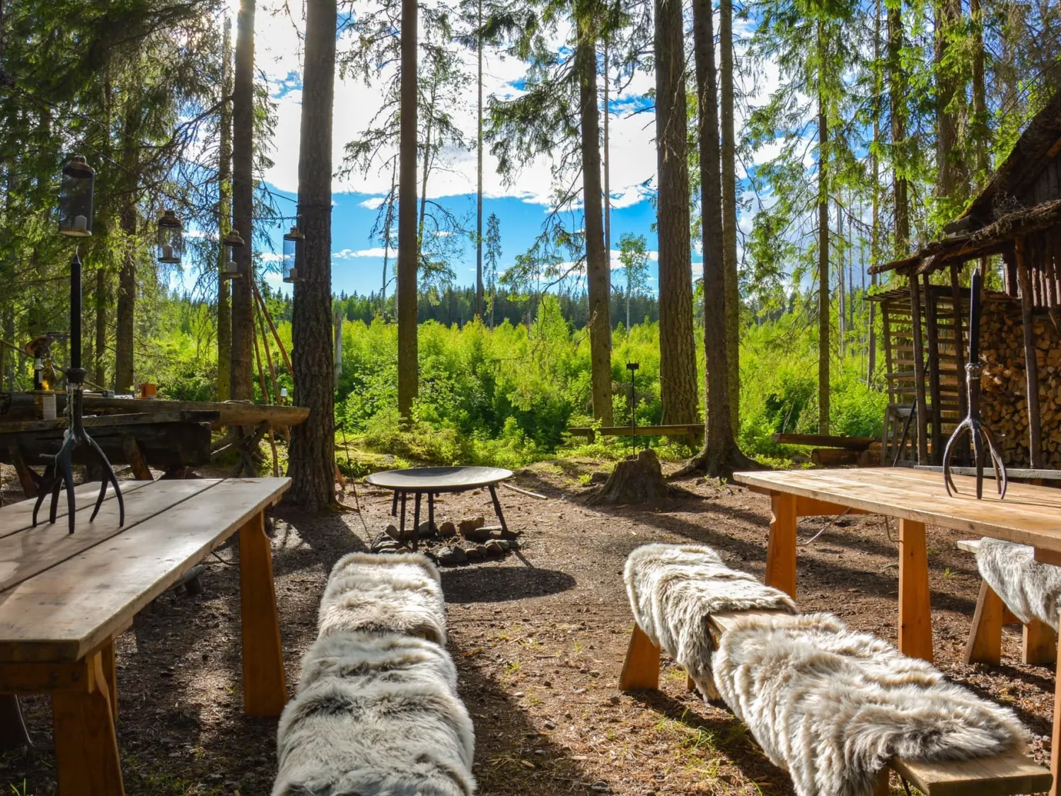 Färgbild - naturretreat i skogsmiljö
