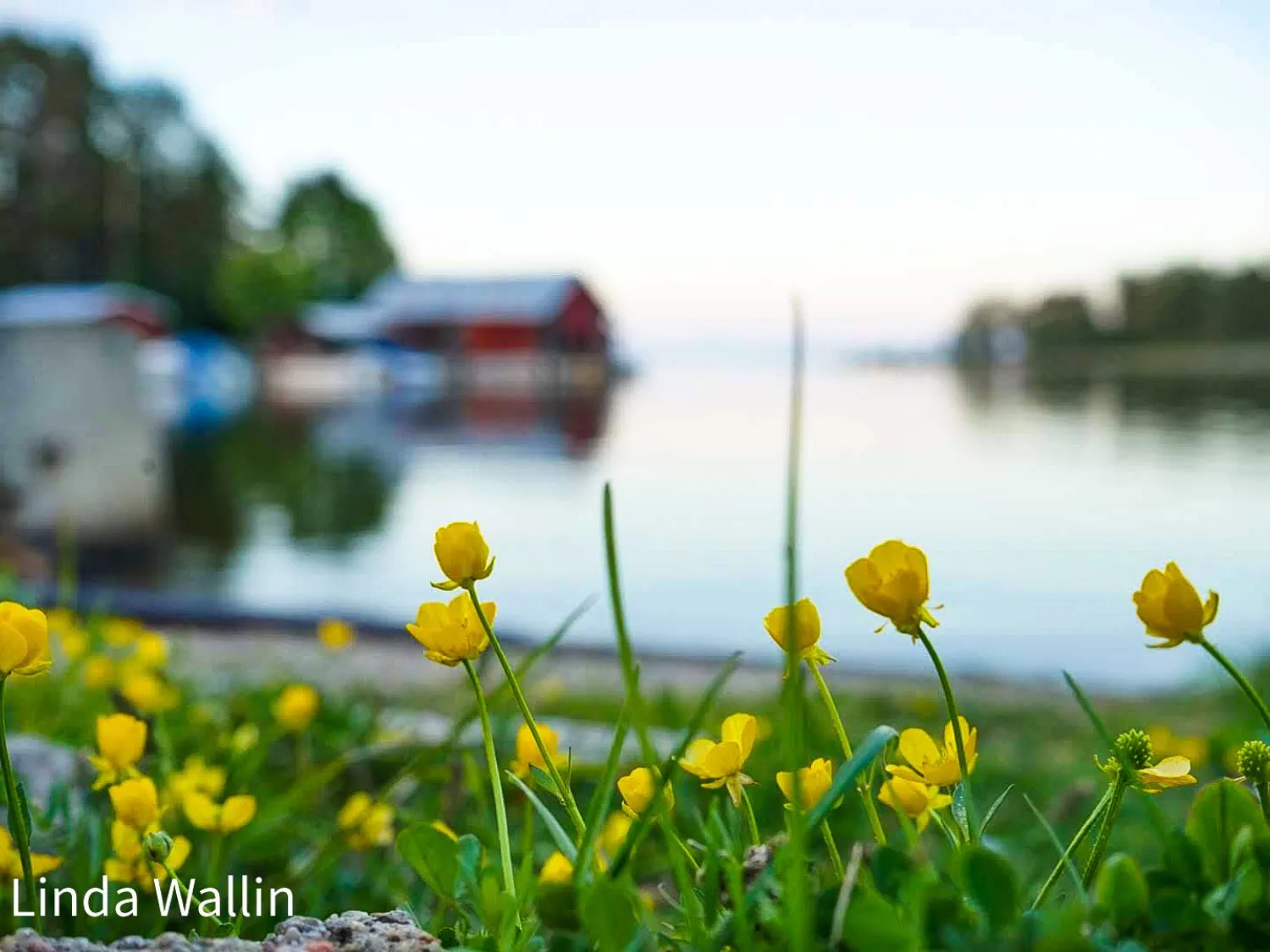 Norrfjärdens Camping