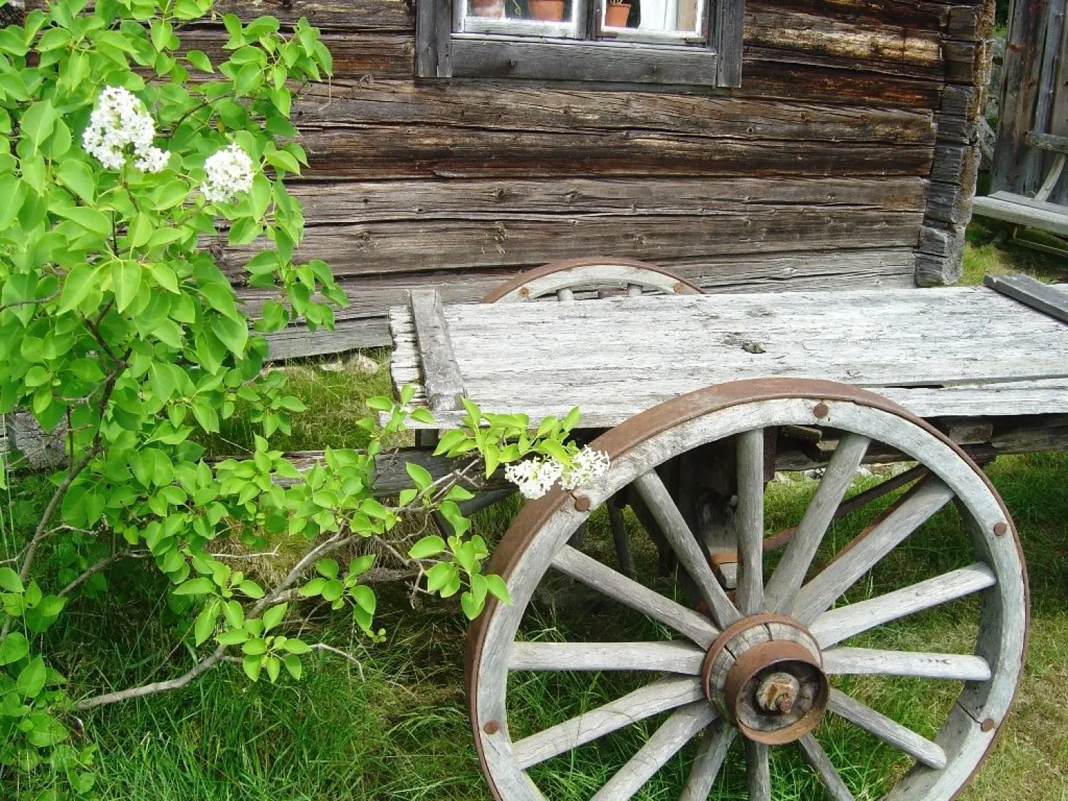 The Hälsingland Farm Ersk-Mats