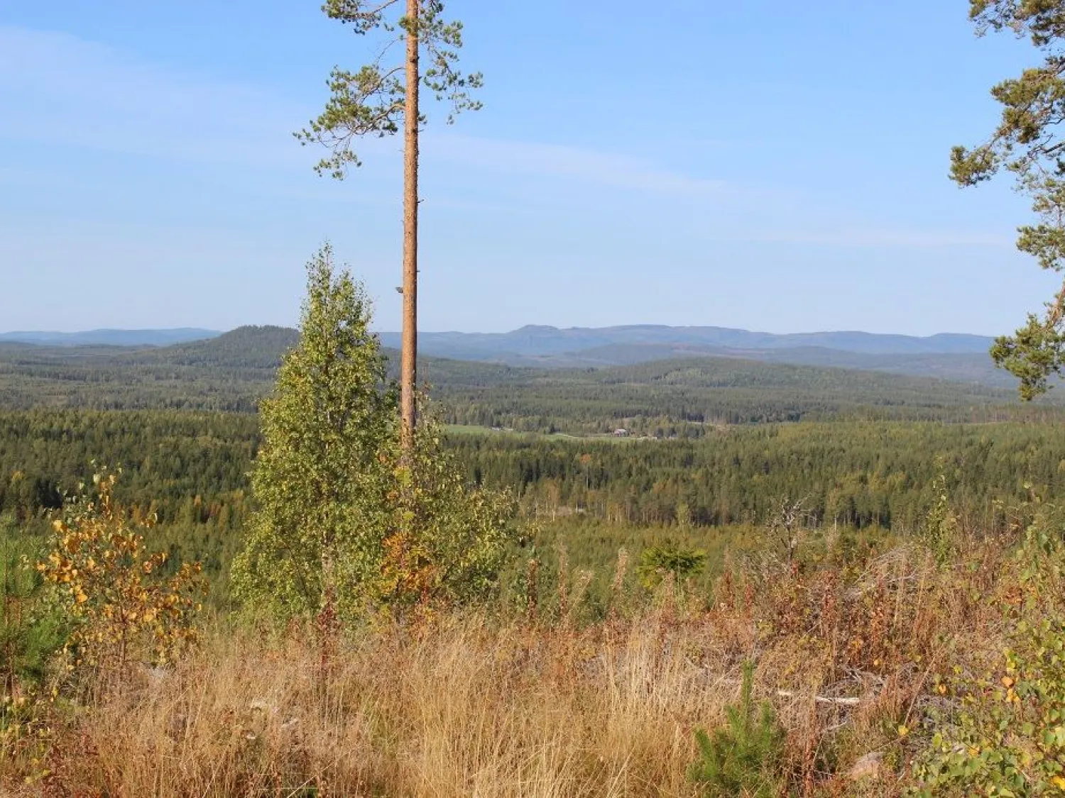 Bålleberget - Bergsjö
