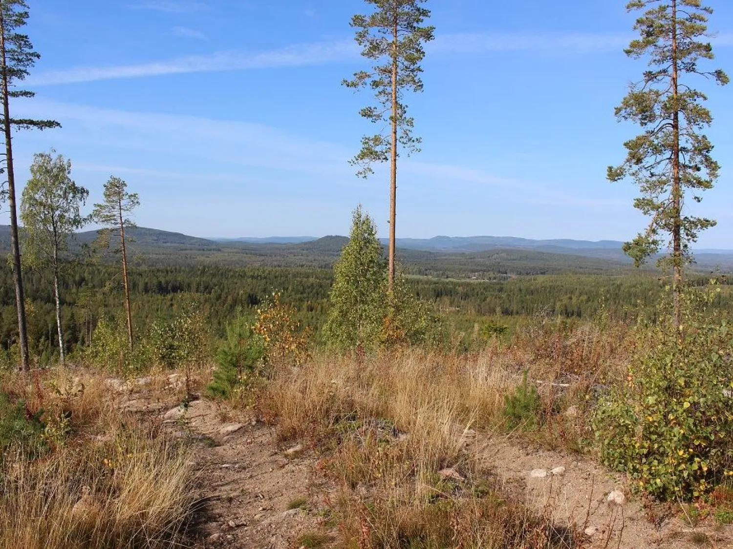 Bålleberget - Bergsjö