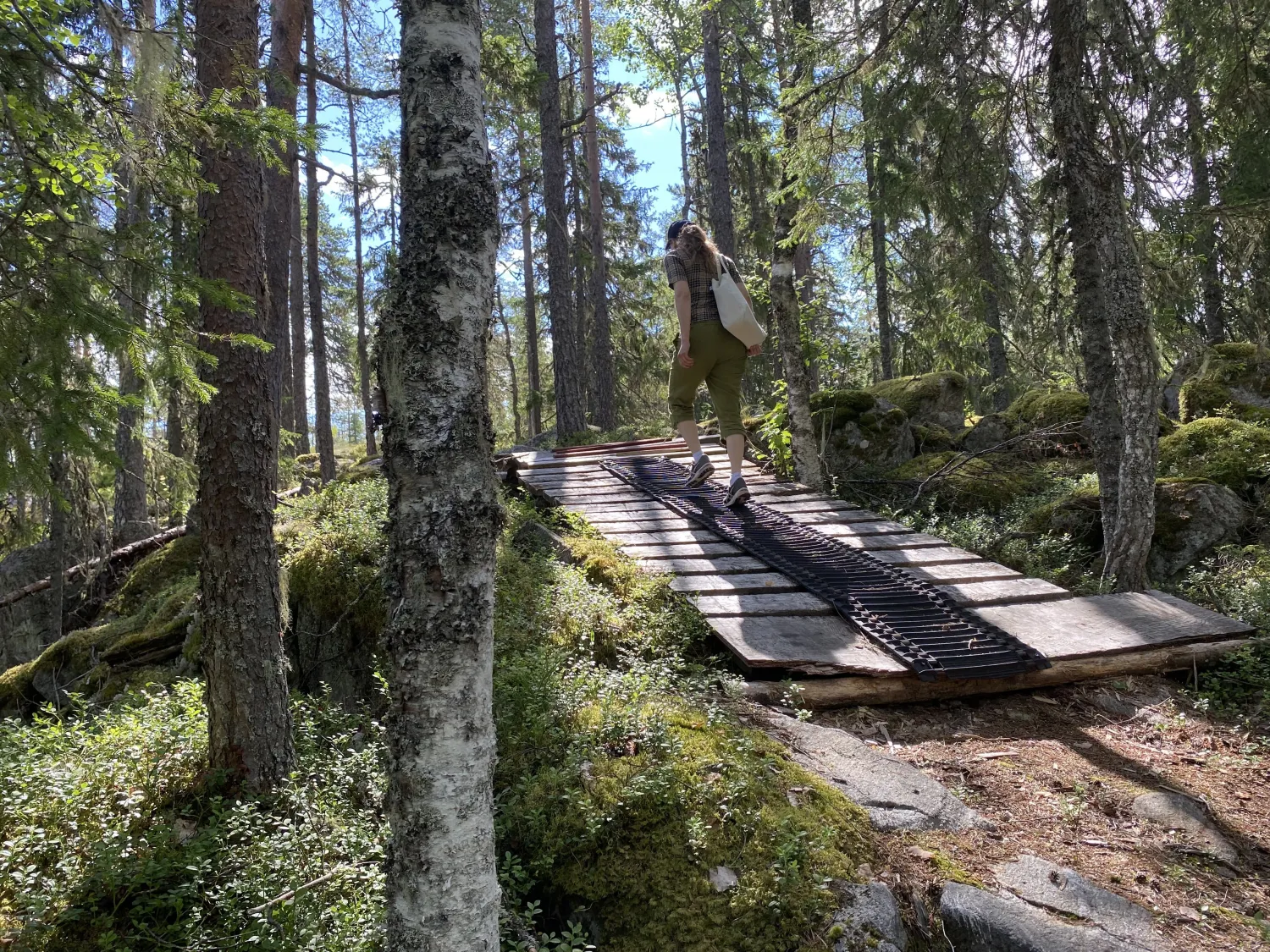 Walking to the cabin