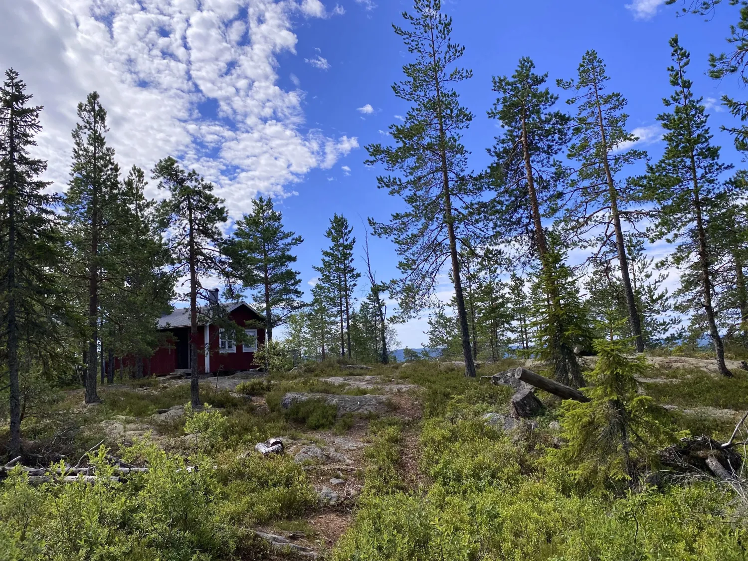 Cabin on the top