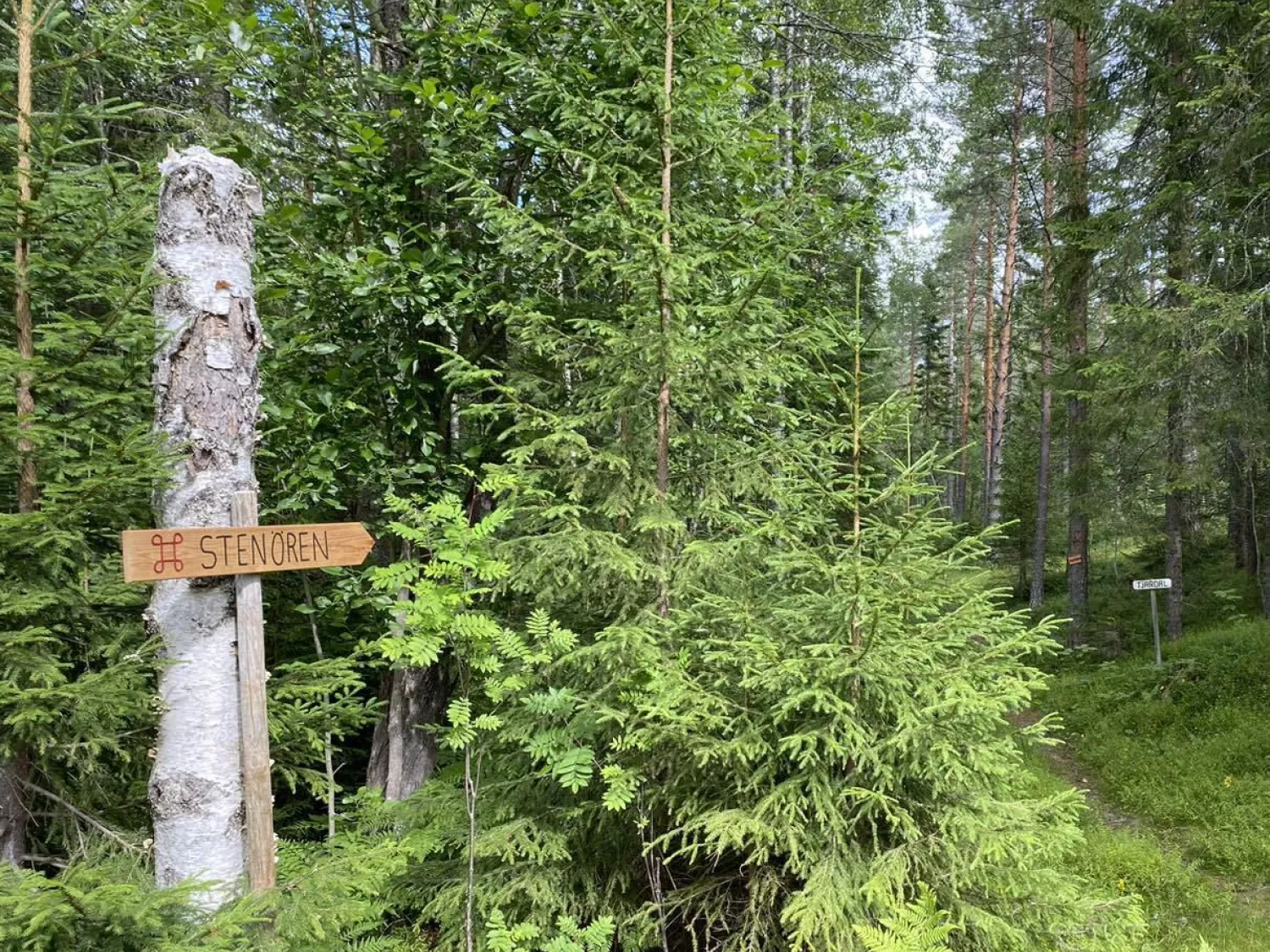 Stenören klapperstensfält