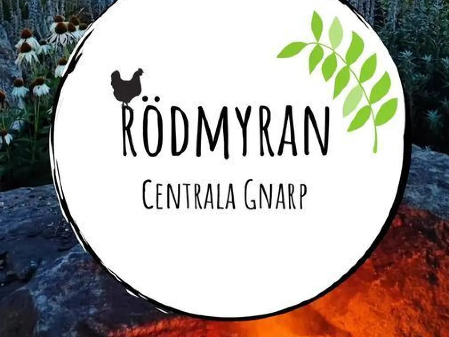 Rödmyran