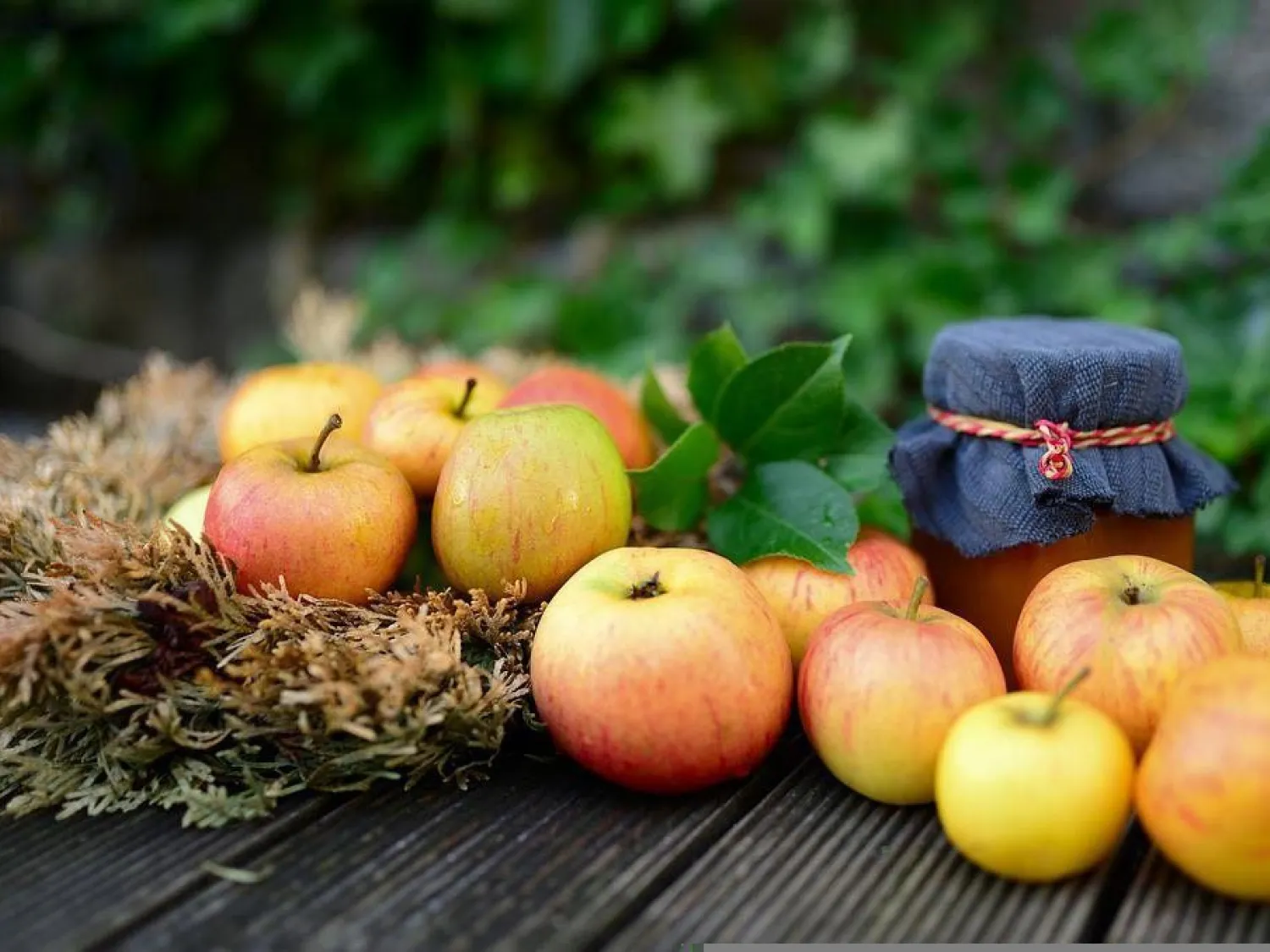 Färgbild - höstrfrukt i närbild