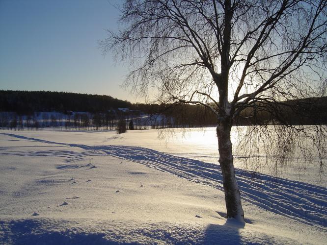 Vinterlandskap i strålande sol.