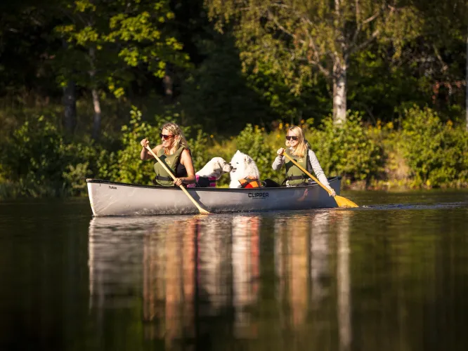 Färgbild - två kvinnor med hund på paddlingstur i en kanot. Omgivande natur.