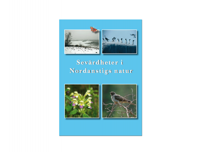 Framsida broschyr Sevärdheter i Nordanstigs natur - fåglar, blommor, naturvyer