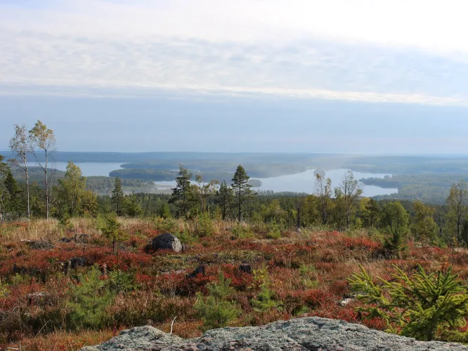 Utsiktsbild från bergstopp med skog och insjö i horisonten.