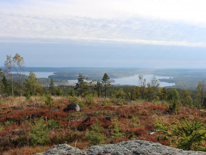 Utsiktsbild från bergstopp med skog och insjö i horisonten.