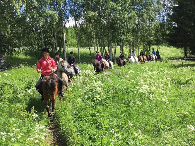 Ryttare med hästar på rad i grönskande landskap