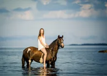 Hästar - Sörfjärden Häst och ryttare ute havsvattnet och badar. Havet och himmelhorisonten i bakgrunden.