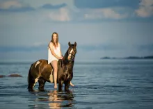 Hästar - Sörfjärden Häst med ryttare ute i vattnet på havsstrand. Havet och himlen i horisonten i bakgrunden.