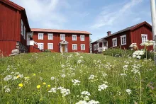 Hälsingegård Löka i Alfta Färgbild - exteriör bild på Hälsingegård Löka i Alfta