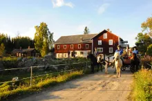 Islandshästar - Halls Gård Hästar med ryttare och häst med vagn och passagerare, framför stor lantgård och omgivande sommargrönska.