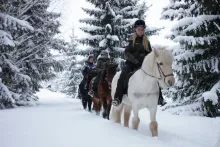 Ryttare i vinterlandskap Ryttare på rad i vinterlandskapet