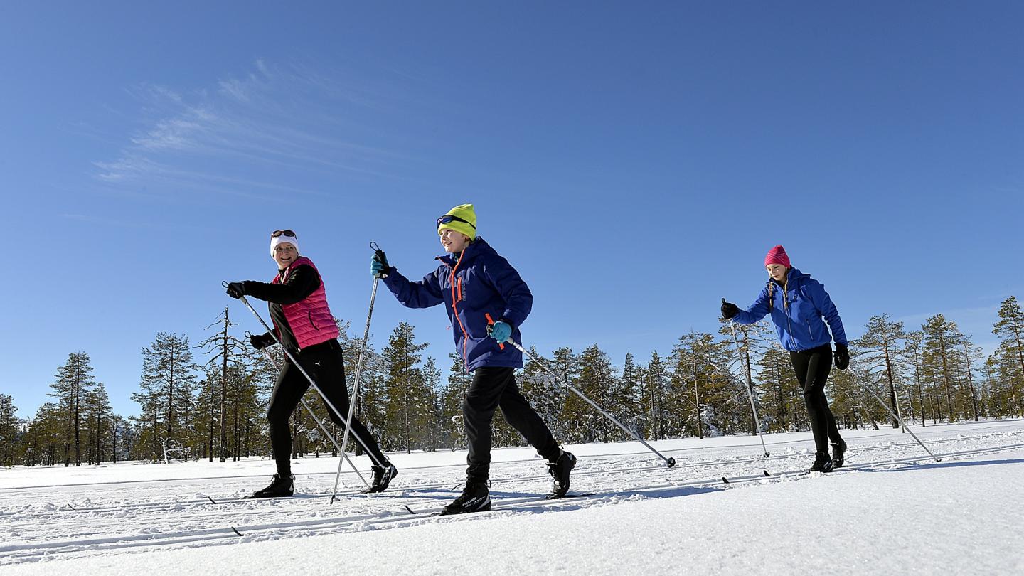 Längdskidåkare i skidspår - vinterlandskap