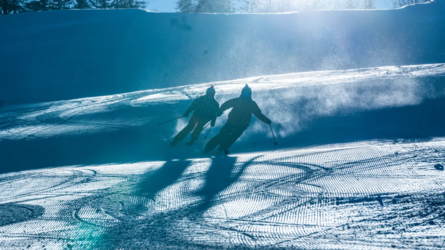 Färgbild - två skidåkare i skidbacke