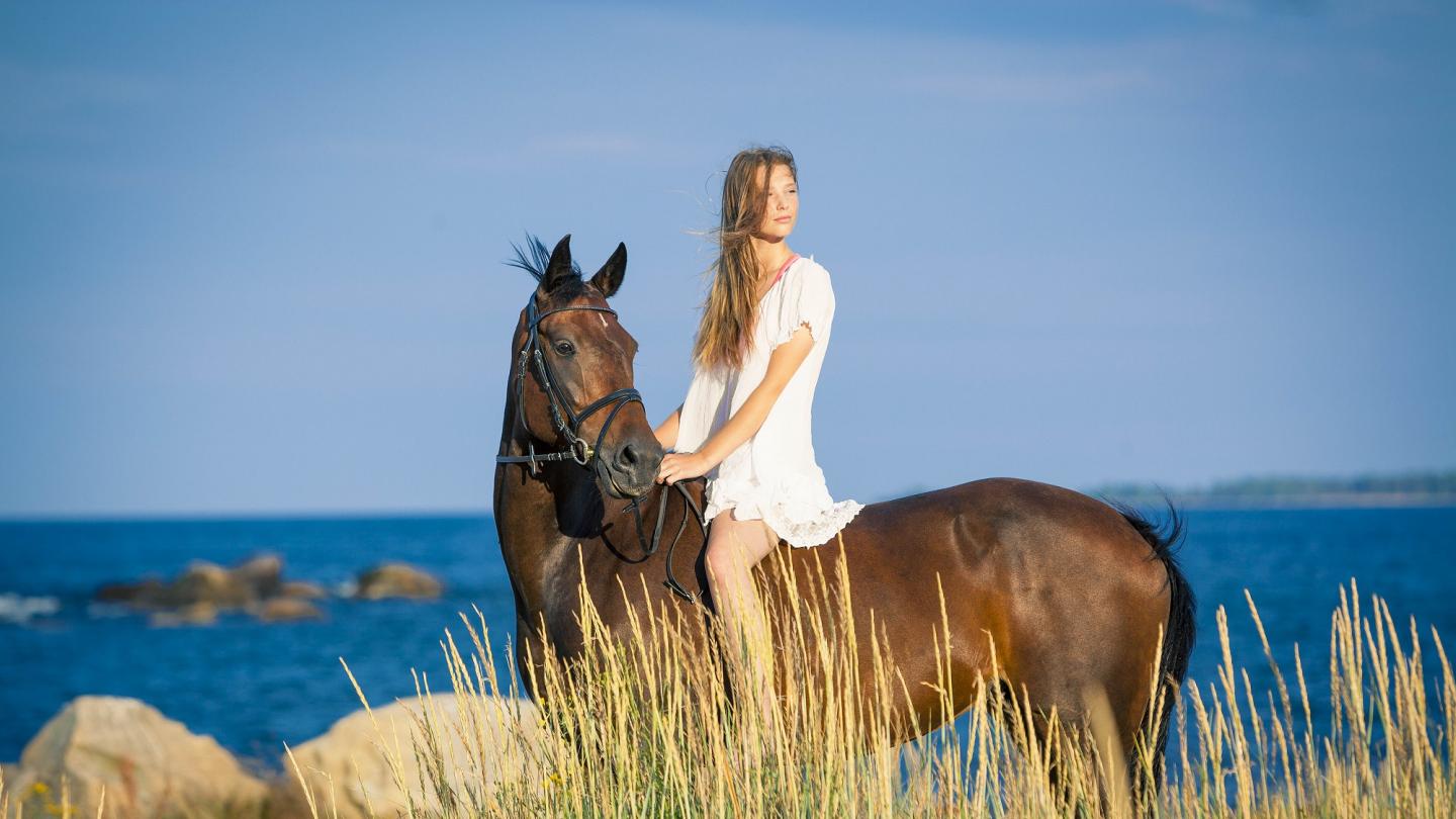 Häst med ryttare på havsbadstrand med havet i bakgrunden.