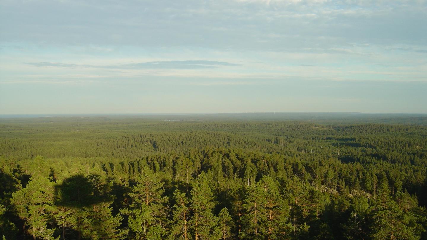 Färgbild - utsikt över skog och berg
