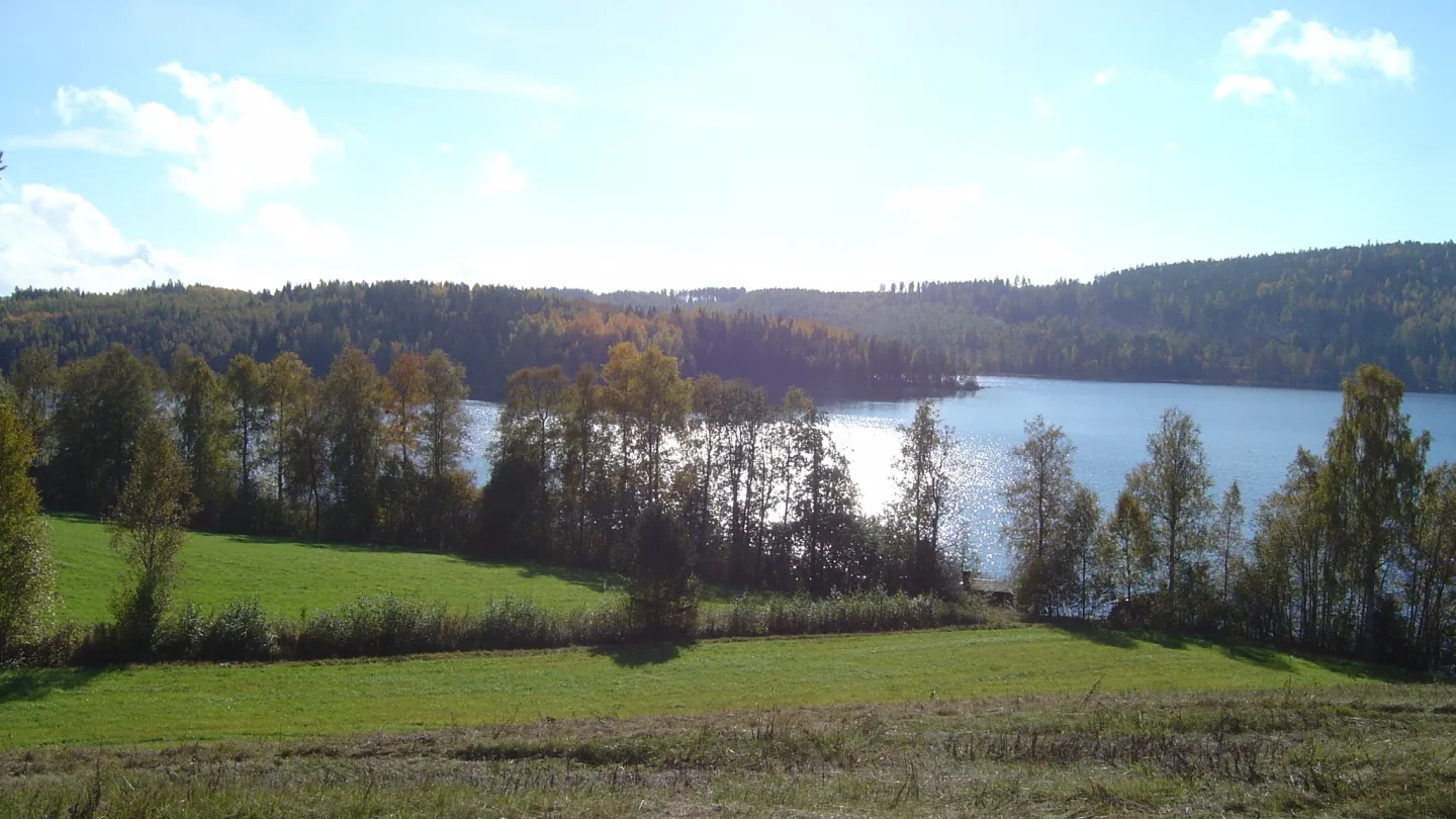 Färgbild - Vy över Kittesjön, Bergsjö. Lövträd i höstfärger.
