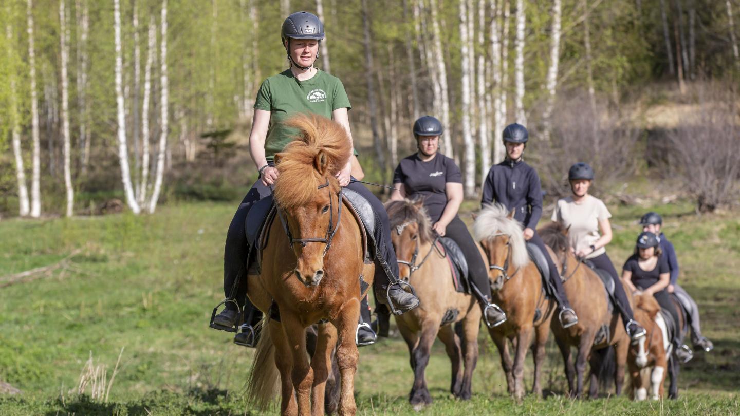 Grupp som rider häst