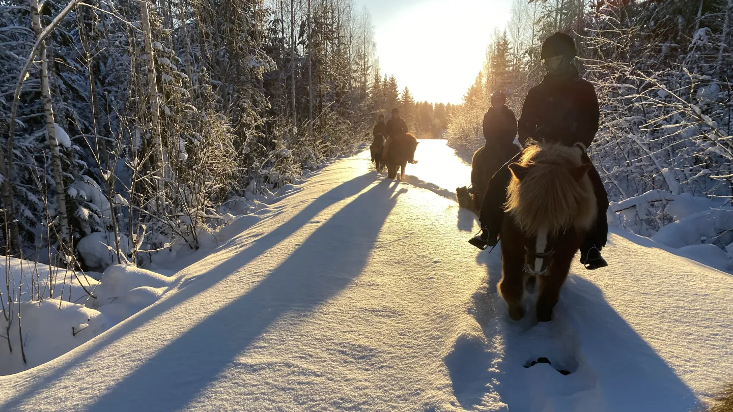 Colour picture - horseback riders in a line in a winter landscape with sunshine and snow.