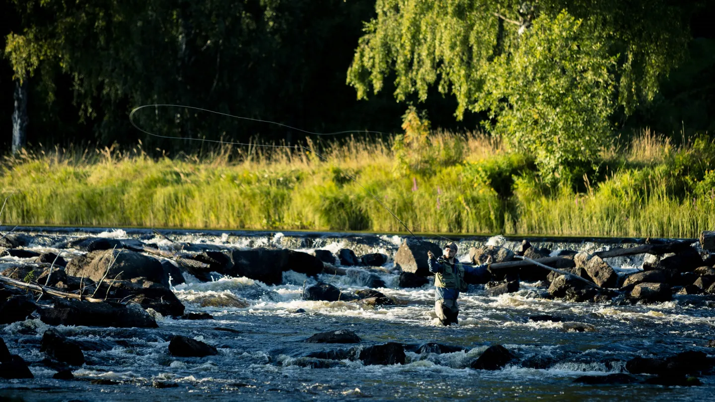 Man som fiskar i strömmande vatten.